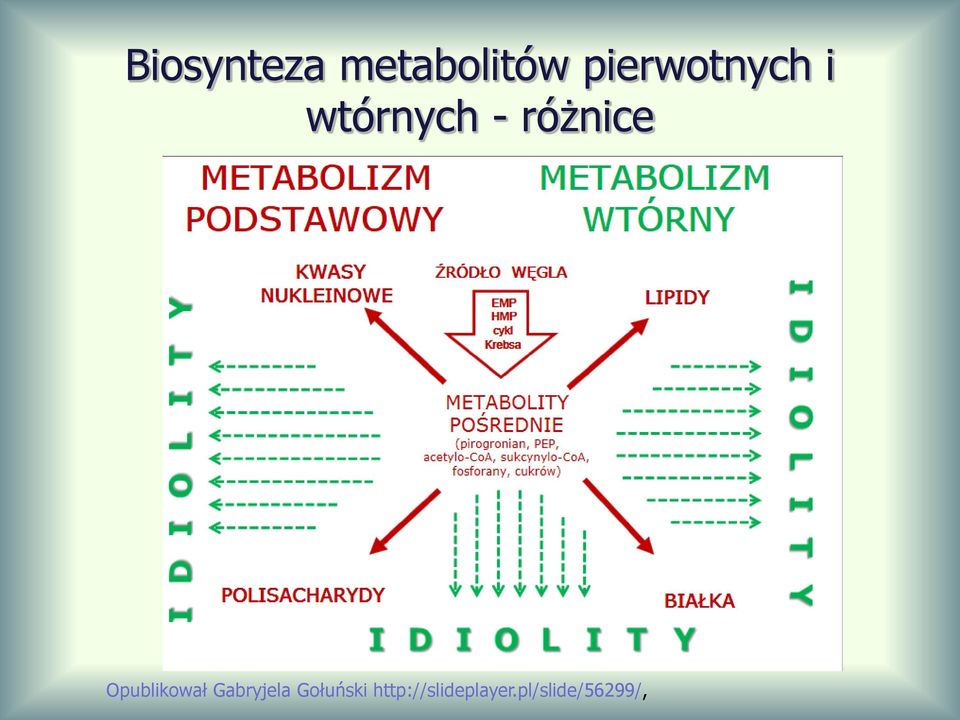 różnice Opublikował Gabryjela