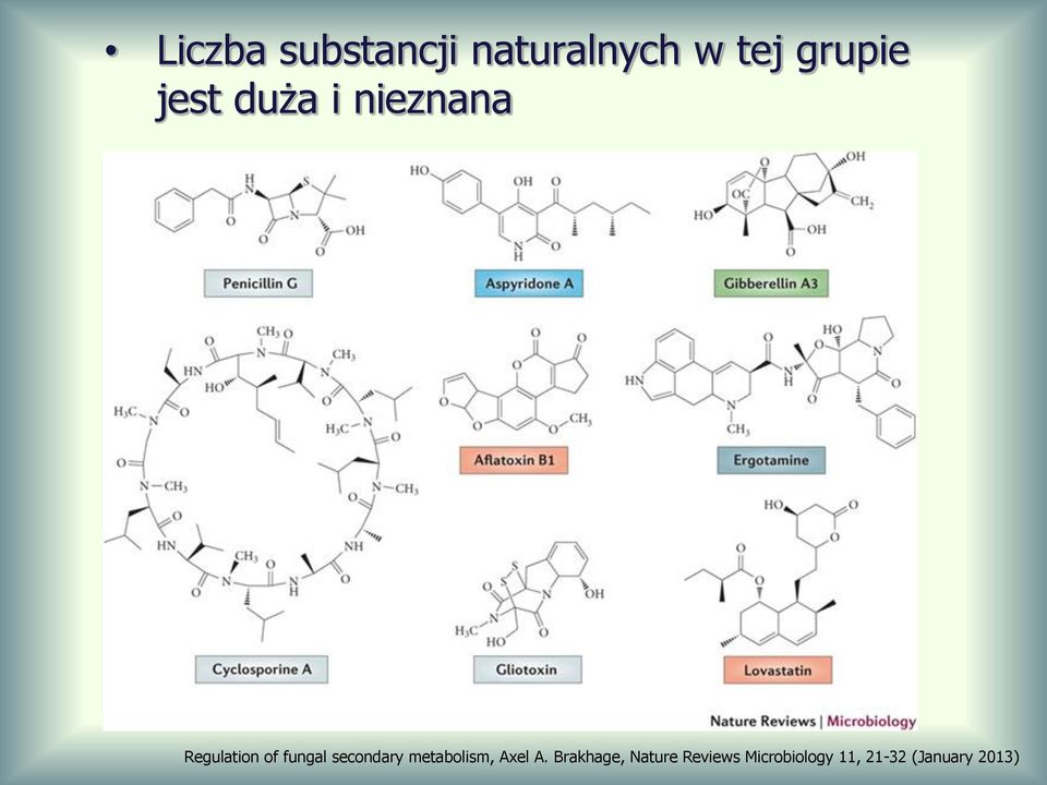 secondary metabolism, Axel A.