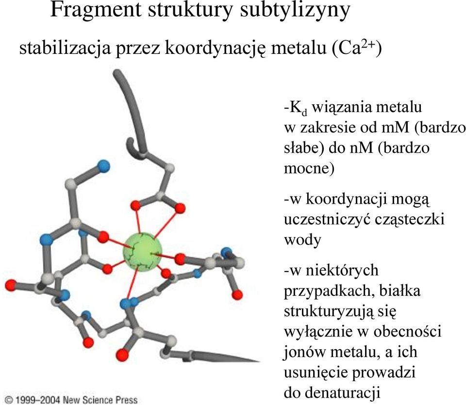 koordynacji mogą uczestniczyć cząsteczki wody -w niektórych przypadkach, białka
