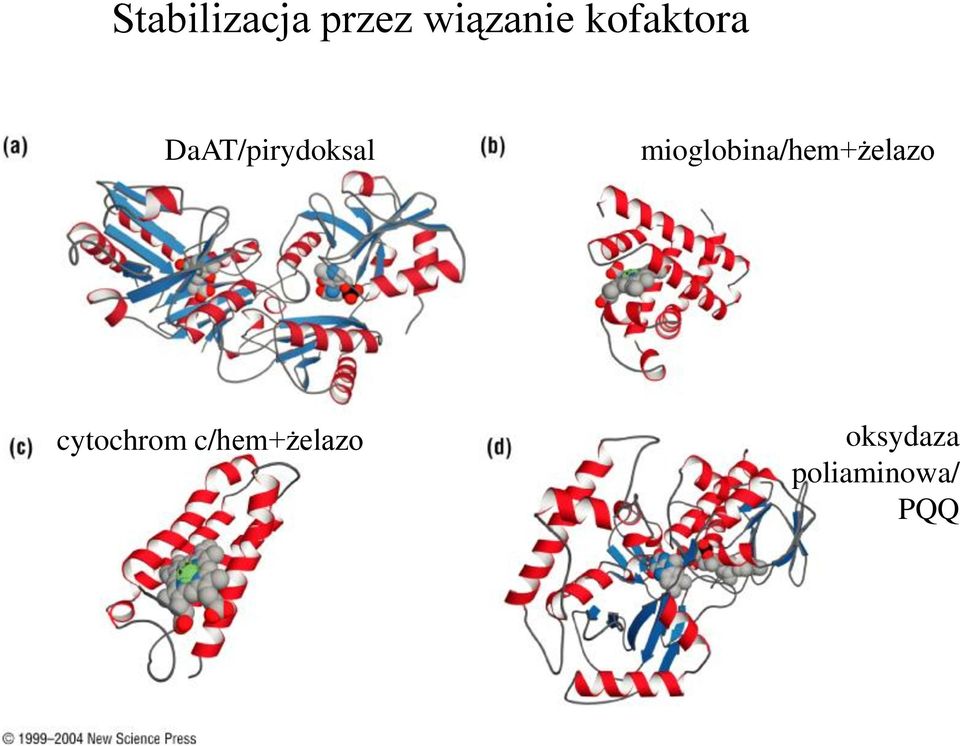 mioglobina/hem+żelazo