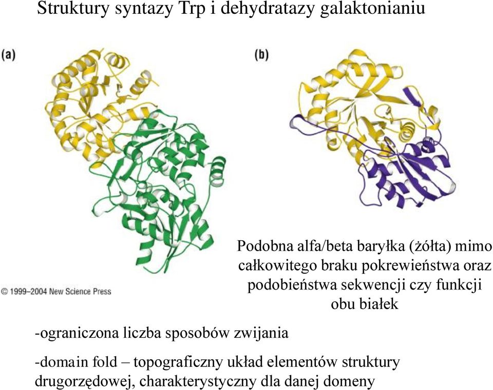 pokrewieństwa oraz podobieństwa sekwencji czy funkcji obu białek -domain fold