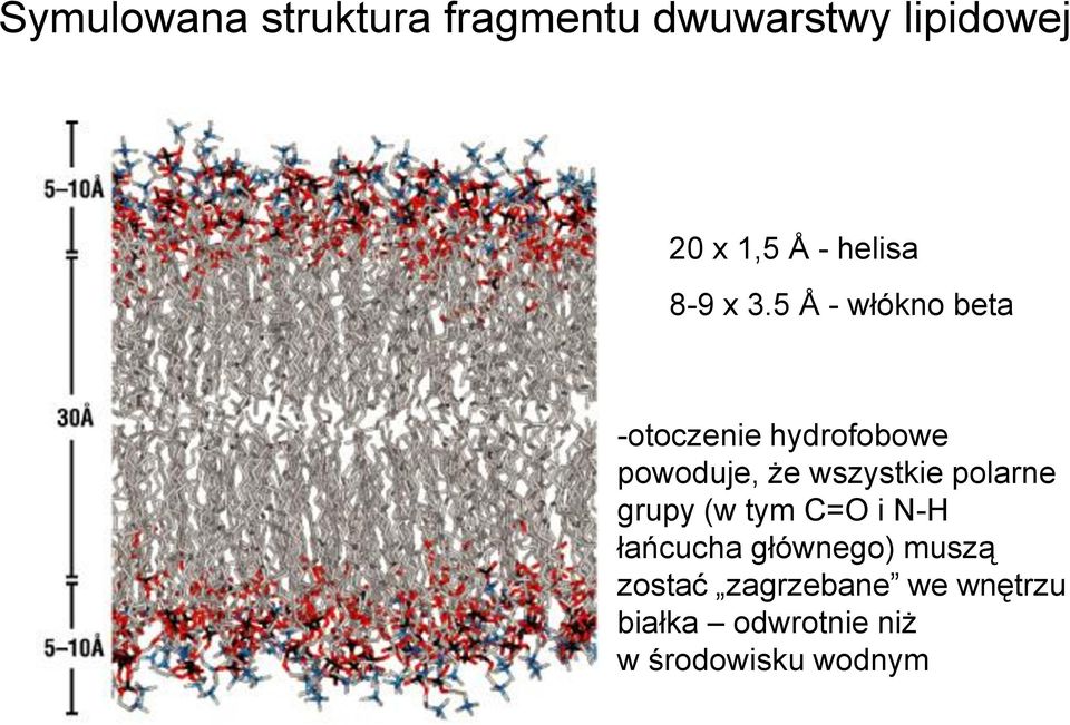 5 Å - włókno beta -otoczenie hydrofobowe powoduje, że wszystkie
