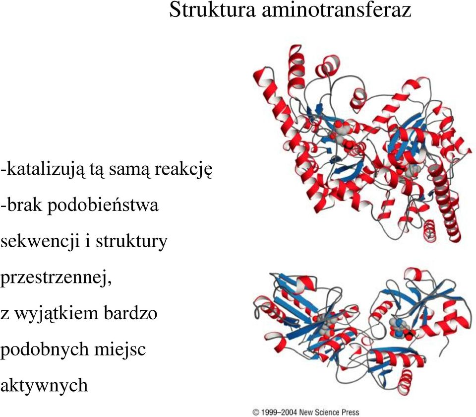 sekwencji i struktury przestrzennej, z