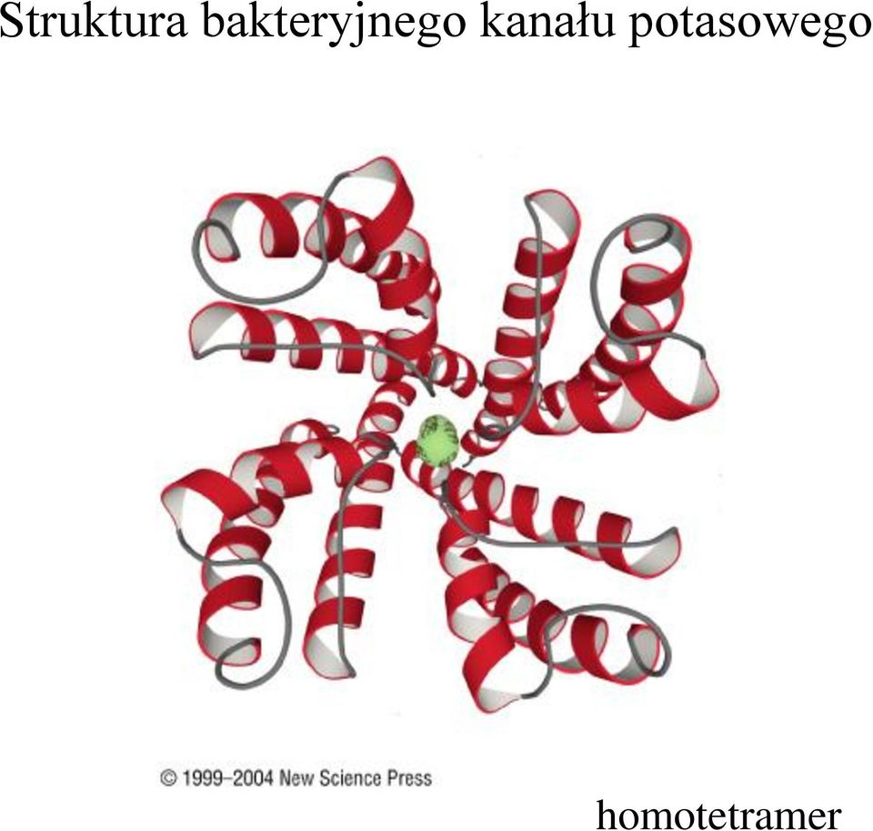 kanału