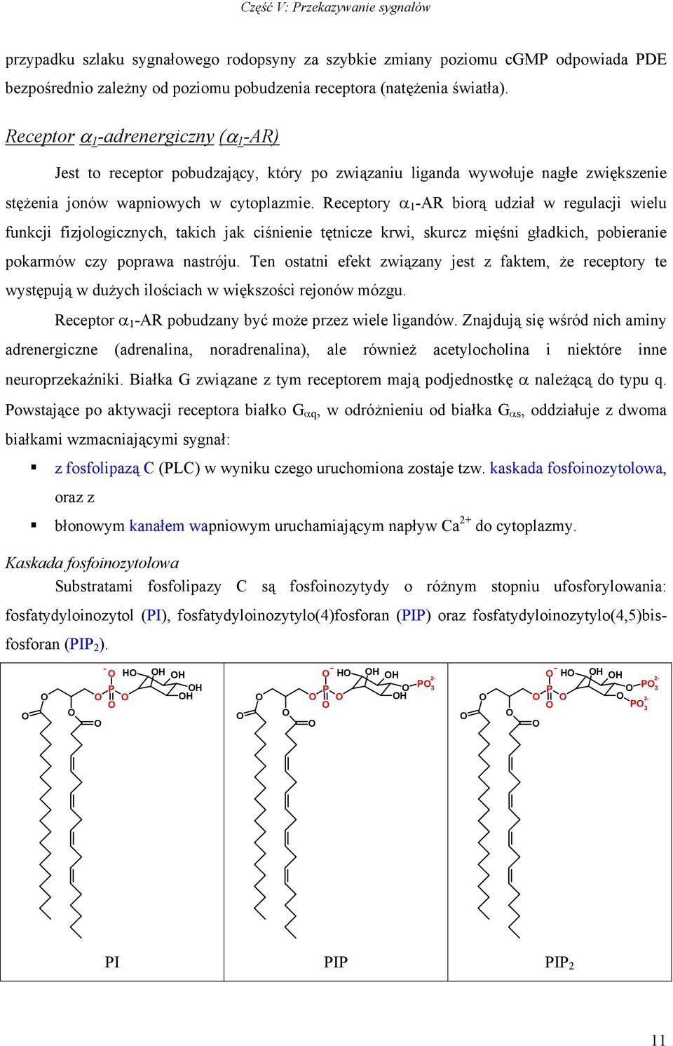 Receptory α 1 -AR biorą udział w regulacji wielu funkcji fizjologicznych, takich jak ciśnienie tętnicze krwi, skurcz mięśni gładkich, pobieranie pokarmów czy poprawa nastróju.