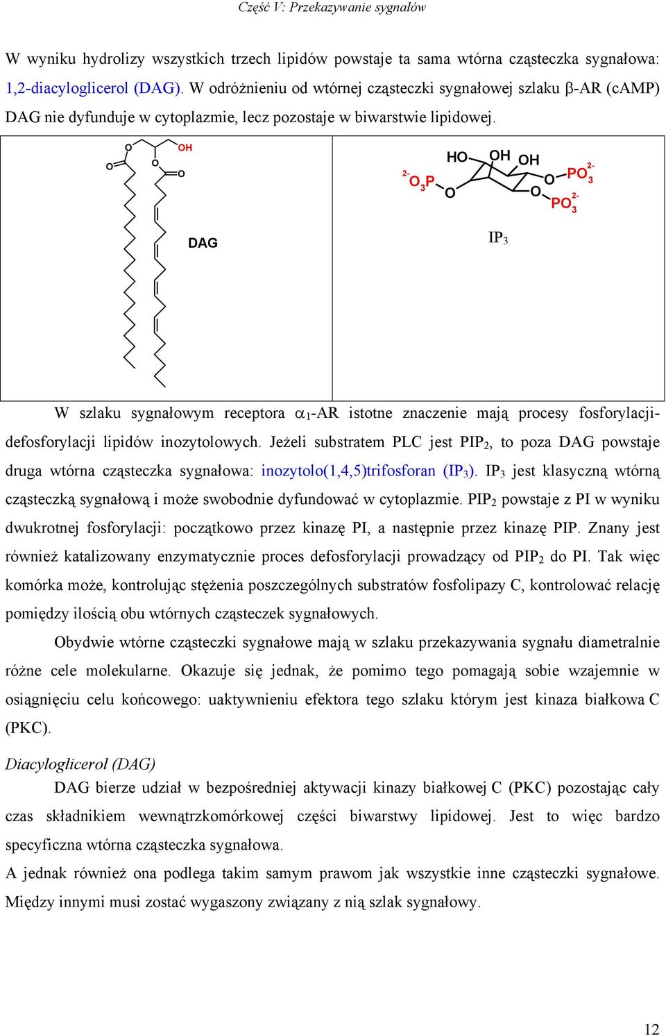 H 2-3 P H H H 2- P 3 2- P 3 DAG IP 3 W szlaku sygnałowym receptora α 1 -AR istotne znaczenie mają procesy fosforylacjidefosforylacji lipidów inozytolowych.