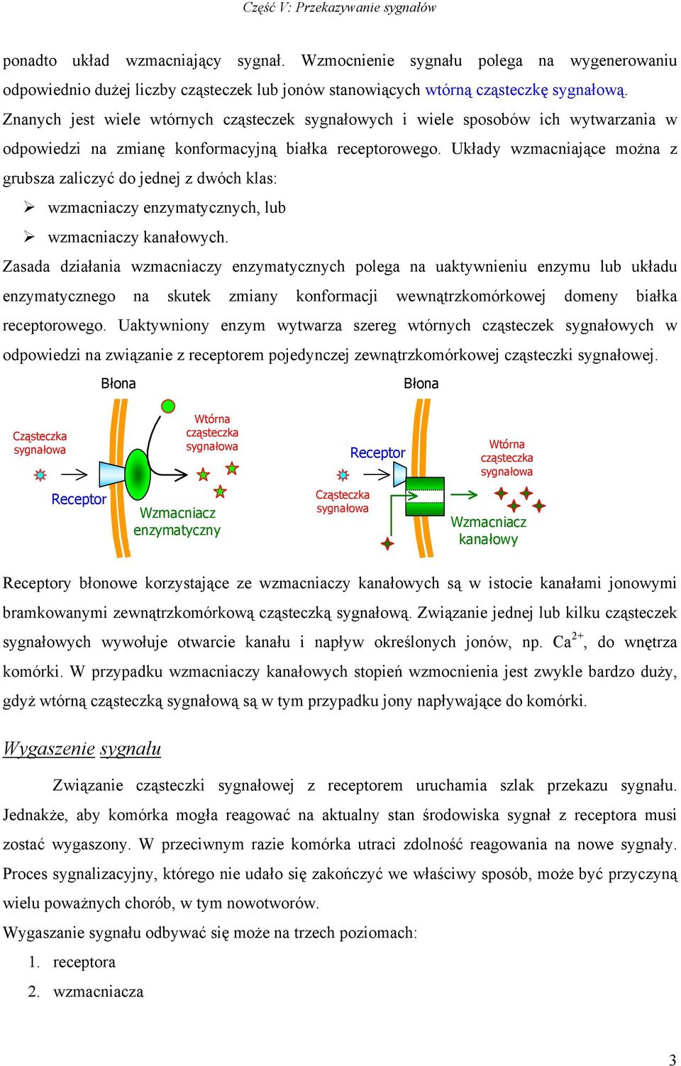 Układy wzmacniające można z grubsza zaliczyć do jednej z dwóch klas: wzmacniaczy enzymatycznych, lub wzmacniaczy kanałowych.