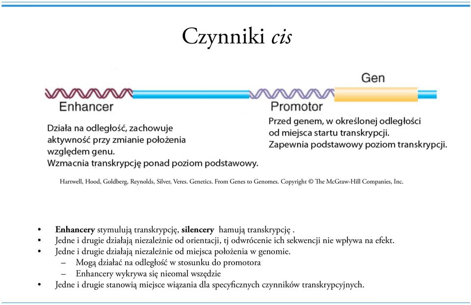 Jedne i drugie działają niezależnie od orientacji, tj odwrócenie ich sekwencji nie wpływa na efekt.