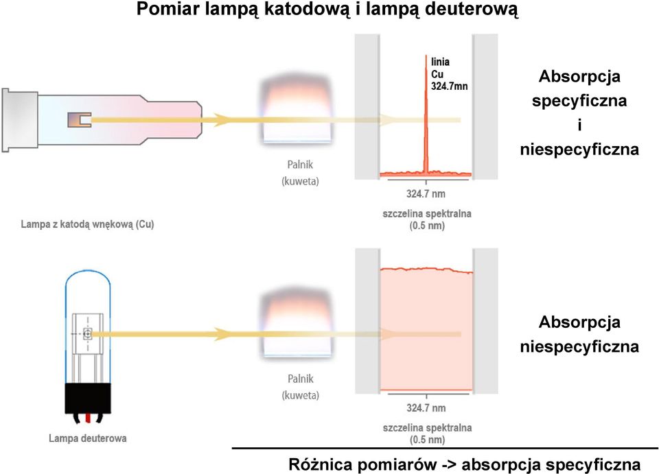 niespecyficzna Absorpcja