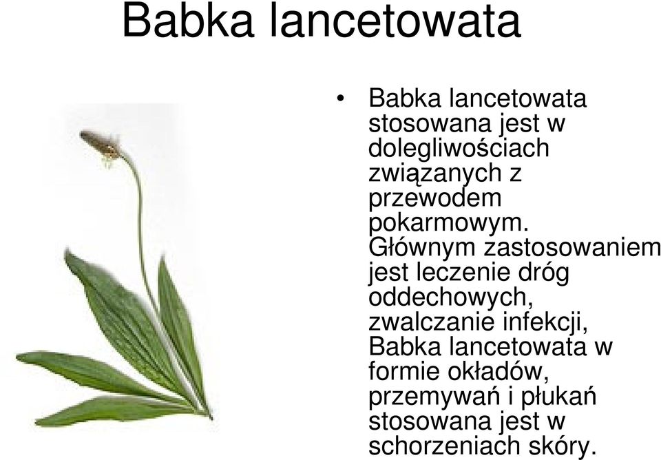 Głównym zastosowaniem jest leczenie dróg oddechowych, zwalczanie