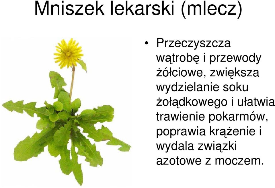 żołądkowego i ułatwia trawienie pokarmów,