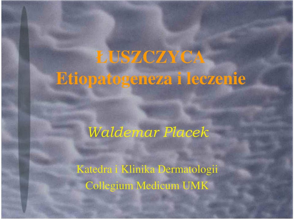 Placek Katedra i Klinika