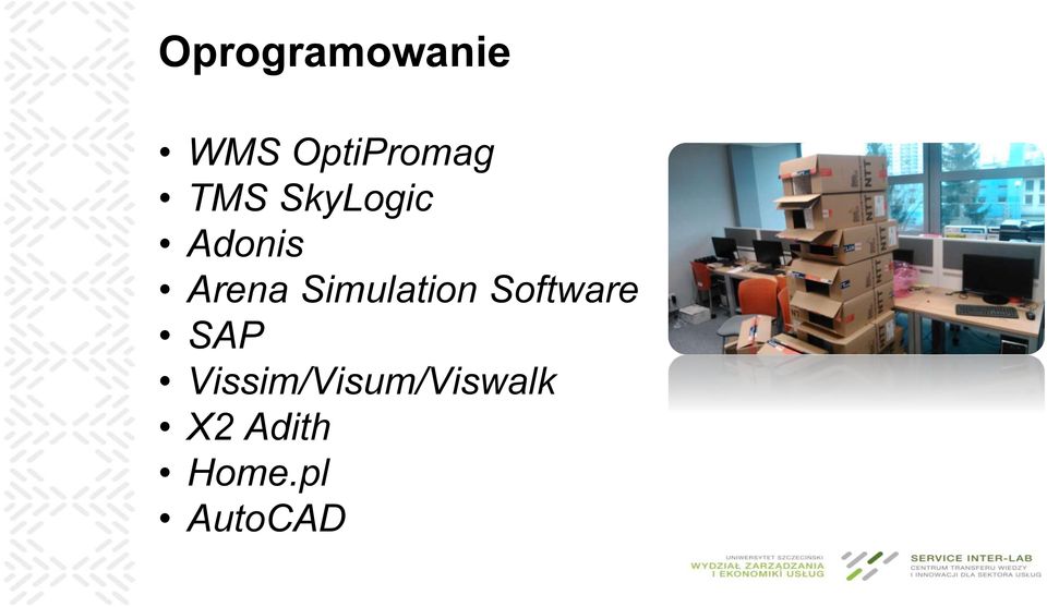 Simulation Software SAP