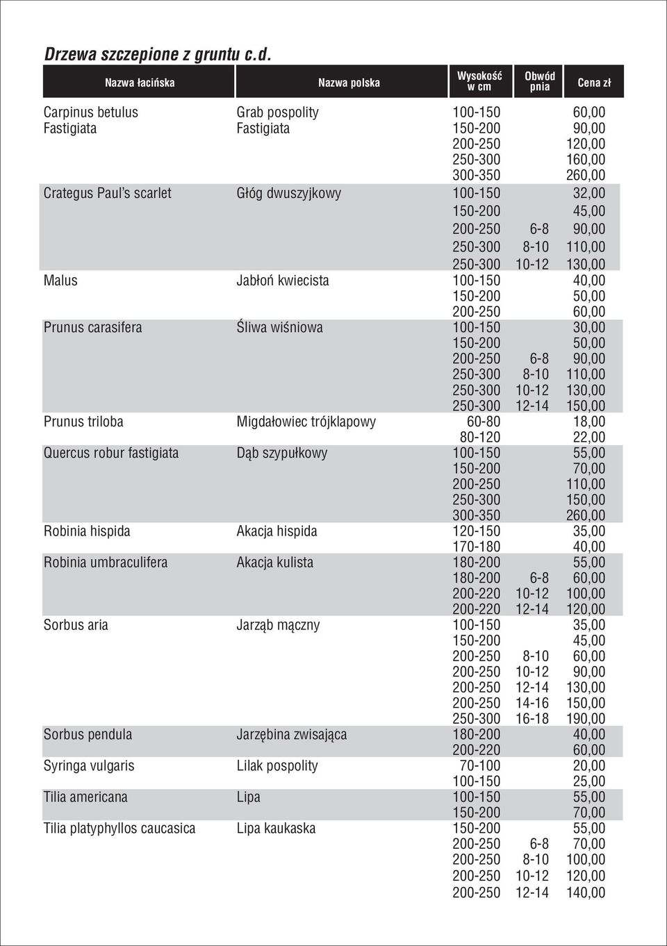 Paul's scarlet Głóg dwuszyjkowy 100-150 32,00 150-200 45,00 200-250 6-8 90,00 250-300 8-10 110,00 250-300 10-12 130,00 Malus Jabłoń kwiecista 100-150 40,00 150-200 50,00 200-250 60,00 Prunus