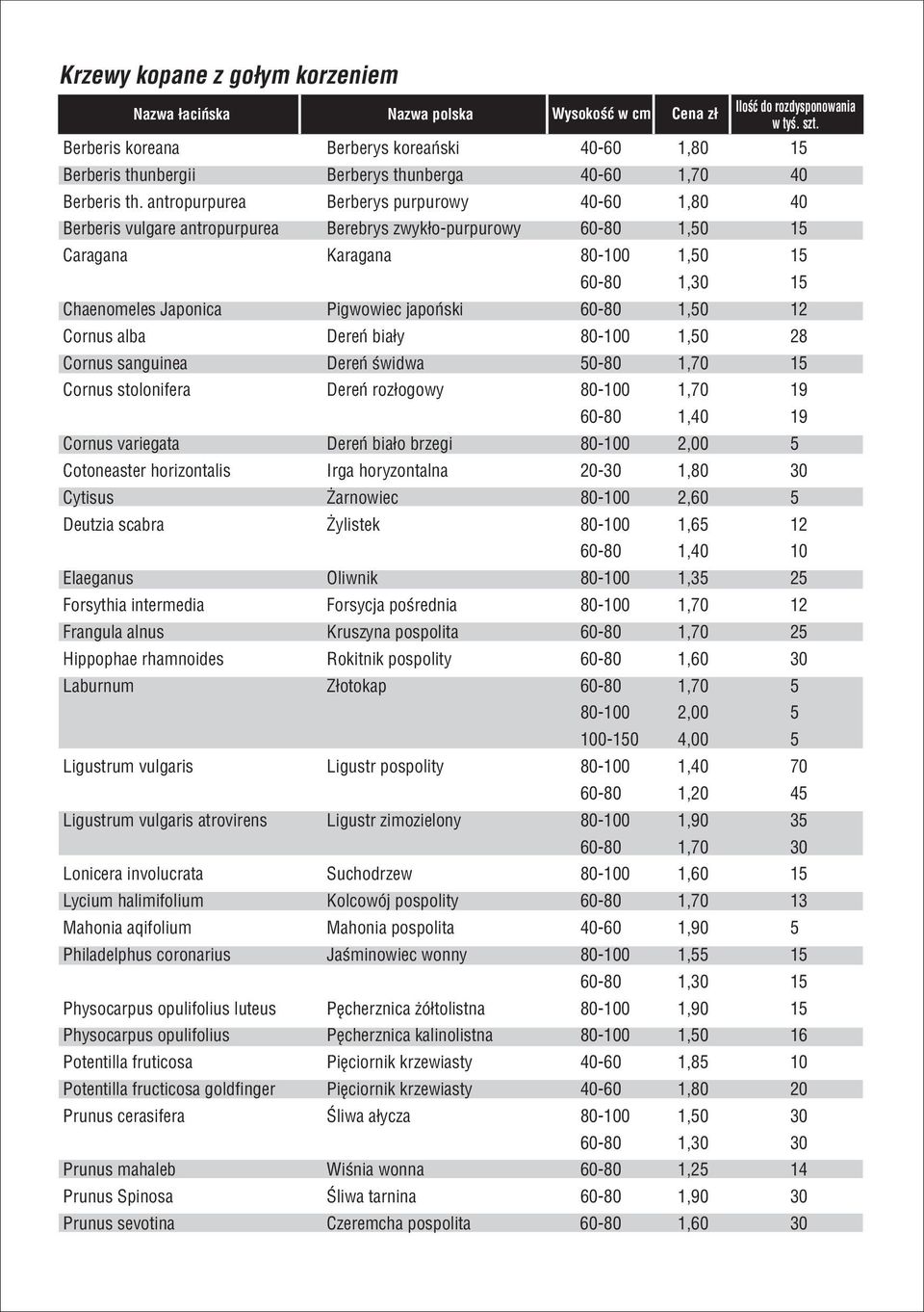 antropurpurea Berberys purpurowy 40-60 1,80 40 Berberis vulgare antropurpurea Berebrys zwykło-purpurowy 60-80 1,50 15 Caragana Karagana 80-100 1,50 15 60-80 1,30 15 Chaenomeles Japonica Pigwowiec