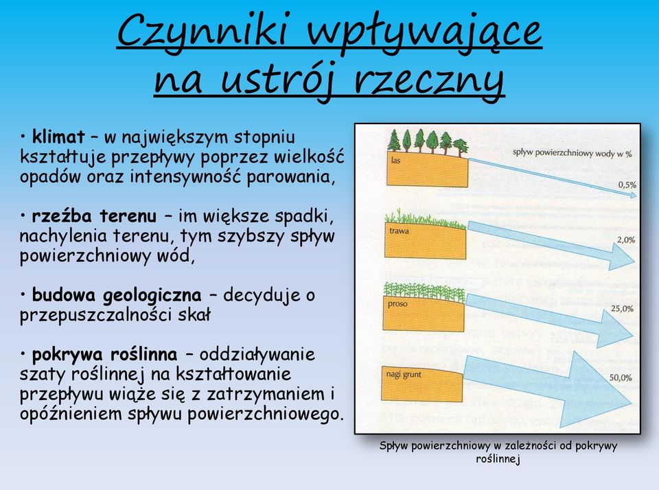 budowa geologiczna decyduje o przepuszczalności skał pokrywa roślinna oddziaływanie szaty roślinnej na kształtowanie