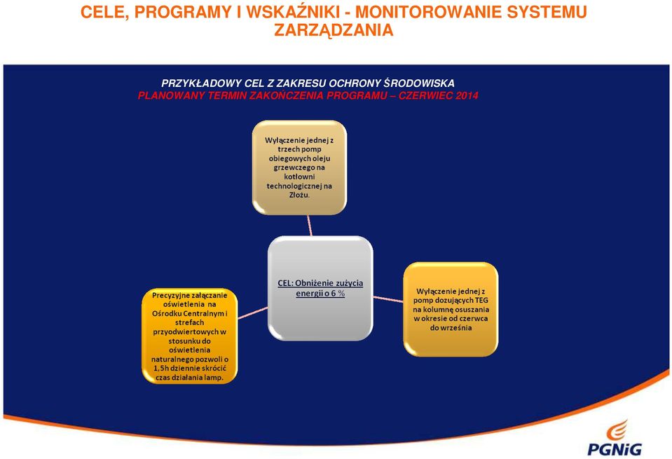 PRZYKŁADOWY CEL Z ZAKRESU OCHRONY