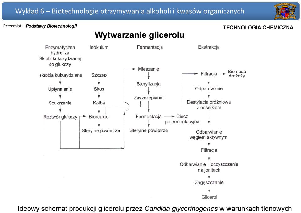 glicerolu przez Candida