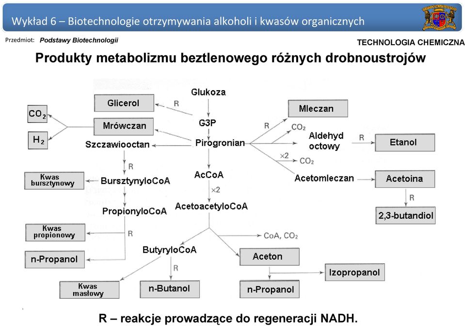 drobnoustrojów R reakcje