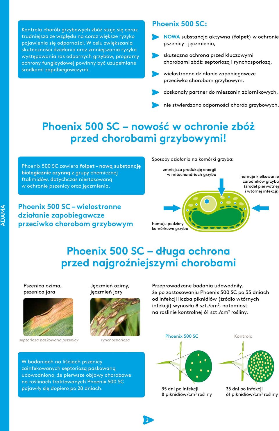 Phoenix 500 SC: NOWA substancja aktywna (folpet) w ochronie pszenicy i jęczmienia, skuteczna ochrona przed kluczowymi chorobami zbóż: septoriozą i rynchosporiozą, wielostronne działanie zapobiegawcze