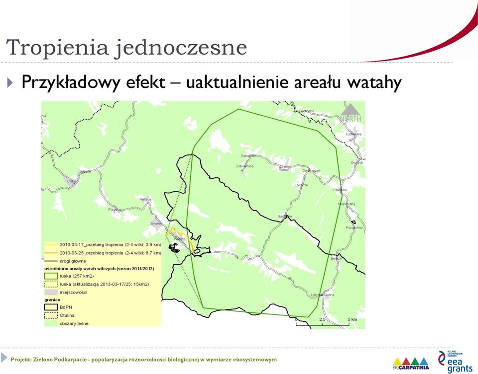 Przykładowy
