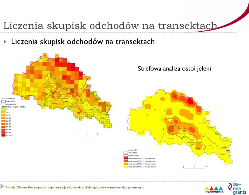 transektach Strefowa