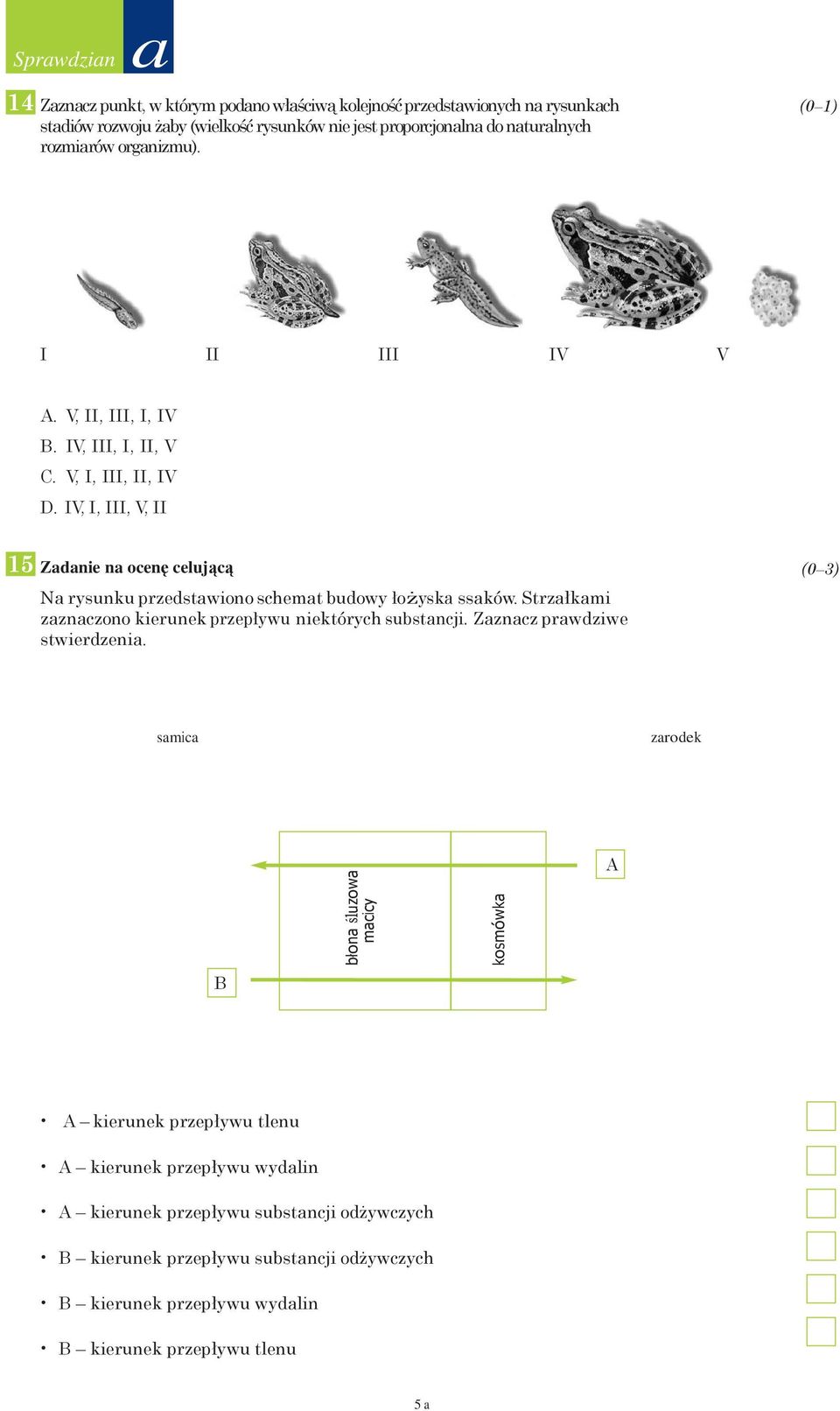 IV, I, III, V, II 15 Zadanie na ocenę celującą Na rysunku przedstawiono schemat budowy łożyska ssaków. Strzałkami zaznaczono kierunek przepływu niektórych substancji.