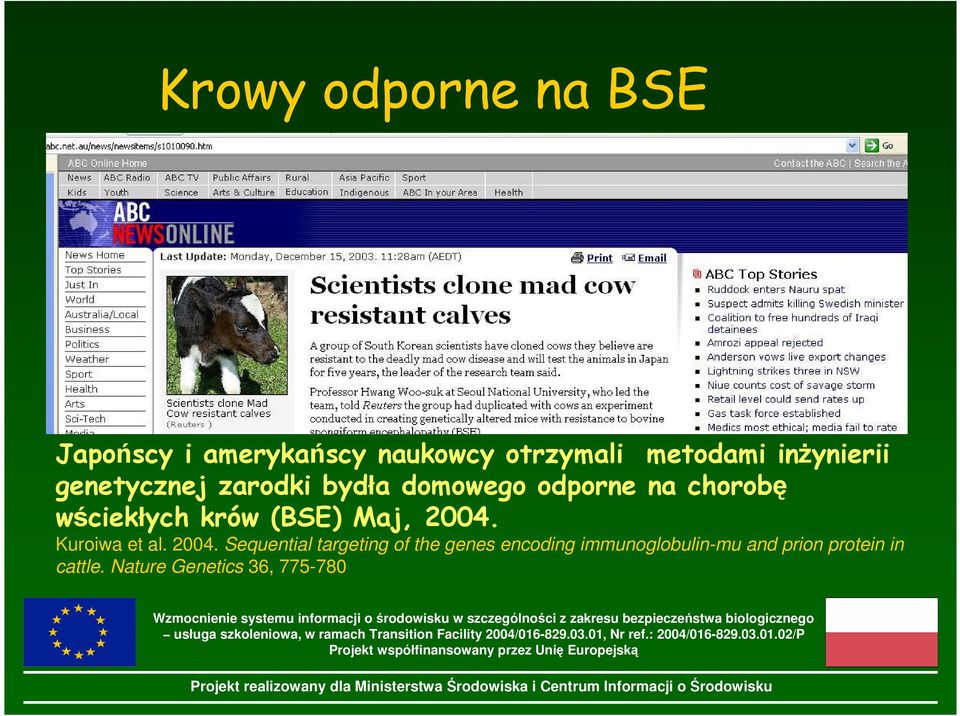 krów (BSE) Maj, 2004.