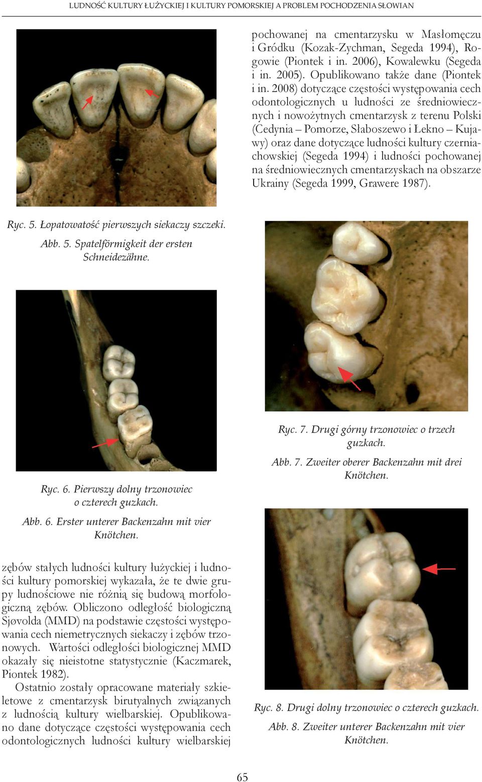 008) dotyczące częstości występowania cech odontologicznych u ludności ze średniowiecznych i nowożytnych cmentarzysk z terenu Polski (Cedynia Pomorze, Słaboszewo i Łekno Kujawy) oraz dane dotyczące