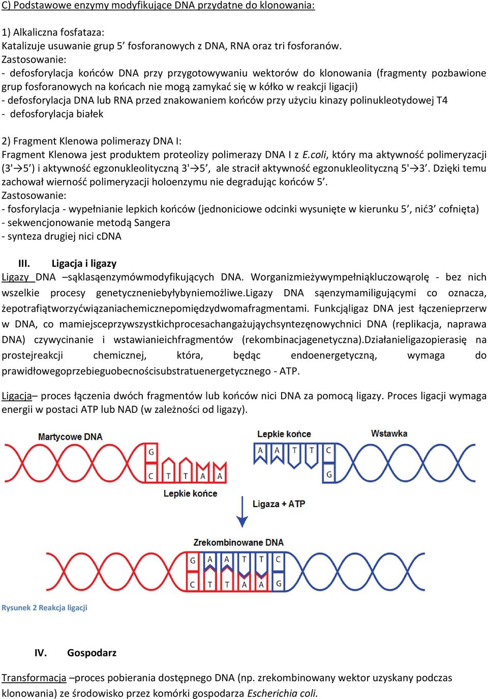 defosforylacja DNA lub RNA przed znakowaniem końców przy użyciu kinazy polinukleotydowej T4 - defosforylacja białek 2) Fragment Klenowa polimerazy DNA I: Fragment Klenowa jest produktem proteolizy