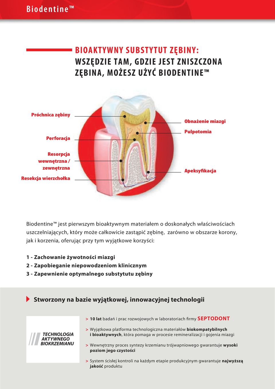 oferując przy tym wyjątkowe korzyści: 1 - Zachowanie żywotności miazgi 2 - Zapobieganie niepowodzeniom klinicznym 3 - Zapewnienie optymalnego substytutu zębiny Stworzony na bazie wyjątkowej,