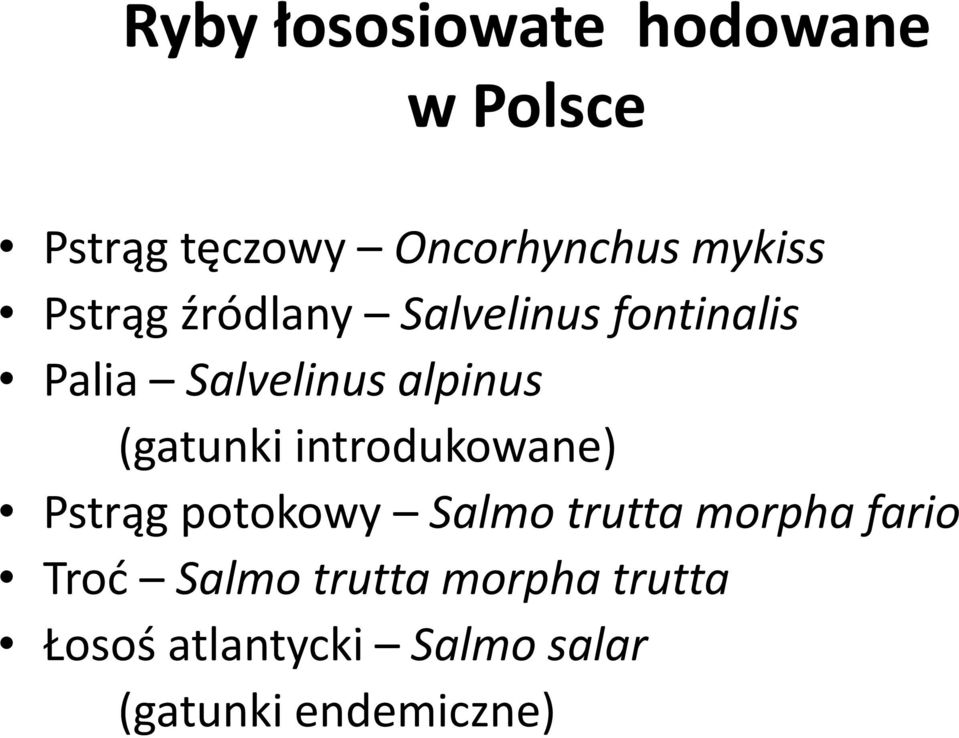 (gatunki introdukowane) Pstrąg potokowy Salmo trutta morphafario Troć