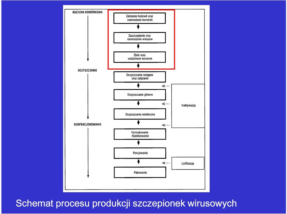 produkcji