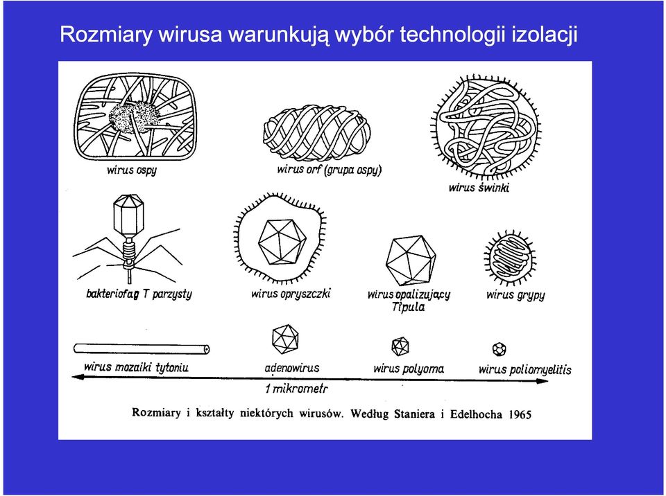 warunkują