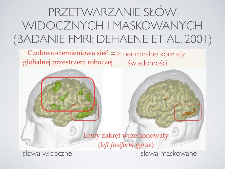 ET AL, 2001) => neuronalne korelaty