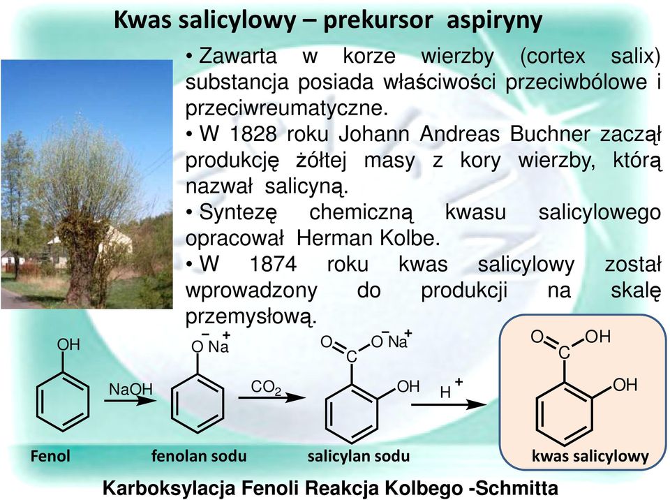 Syntezę chemiczną kwasu salicylowego opracował Herman Kolbe.