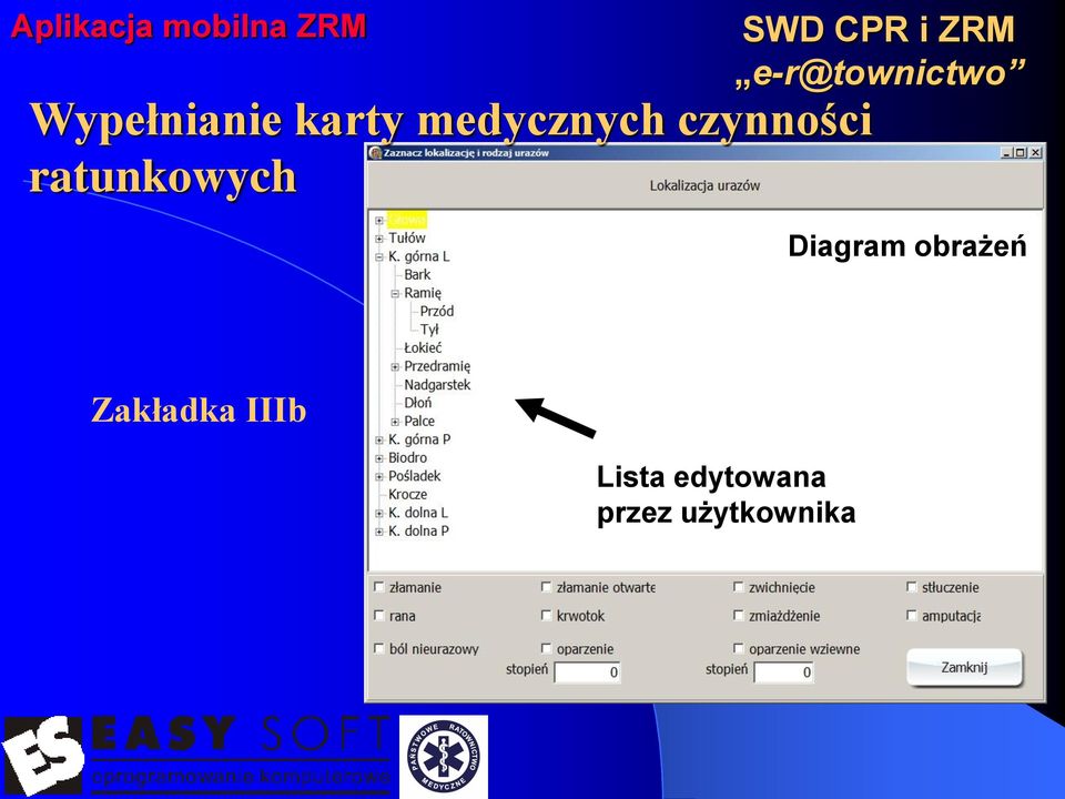 Diagram obrażeń Zakładka