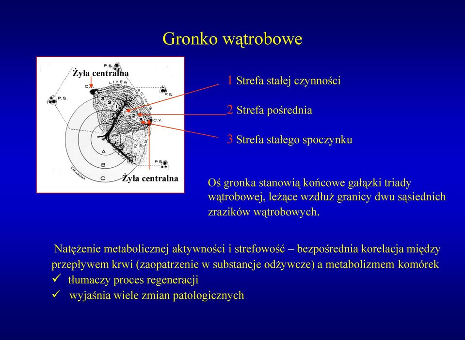 wątrobowych.