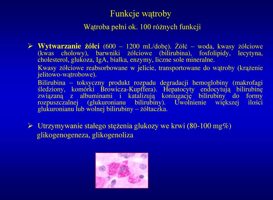 Kwasy żółciowe reabsorbowane w jelicie, transportowane do wątroby (krążenie jelitowo-wątrobowe).