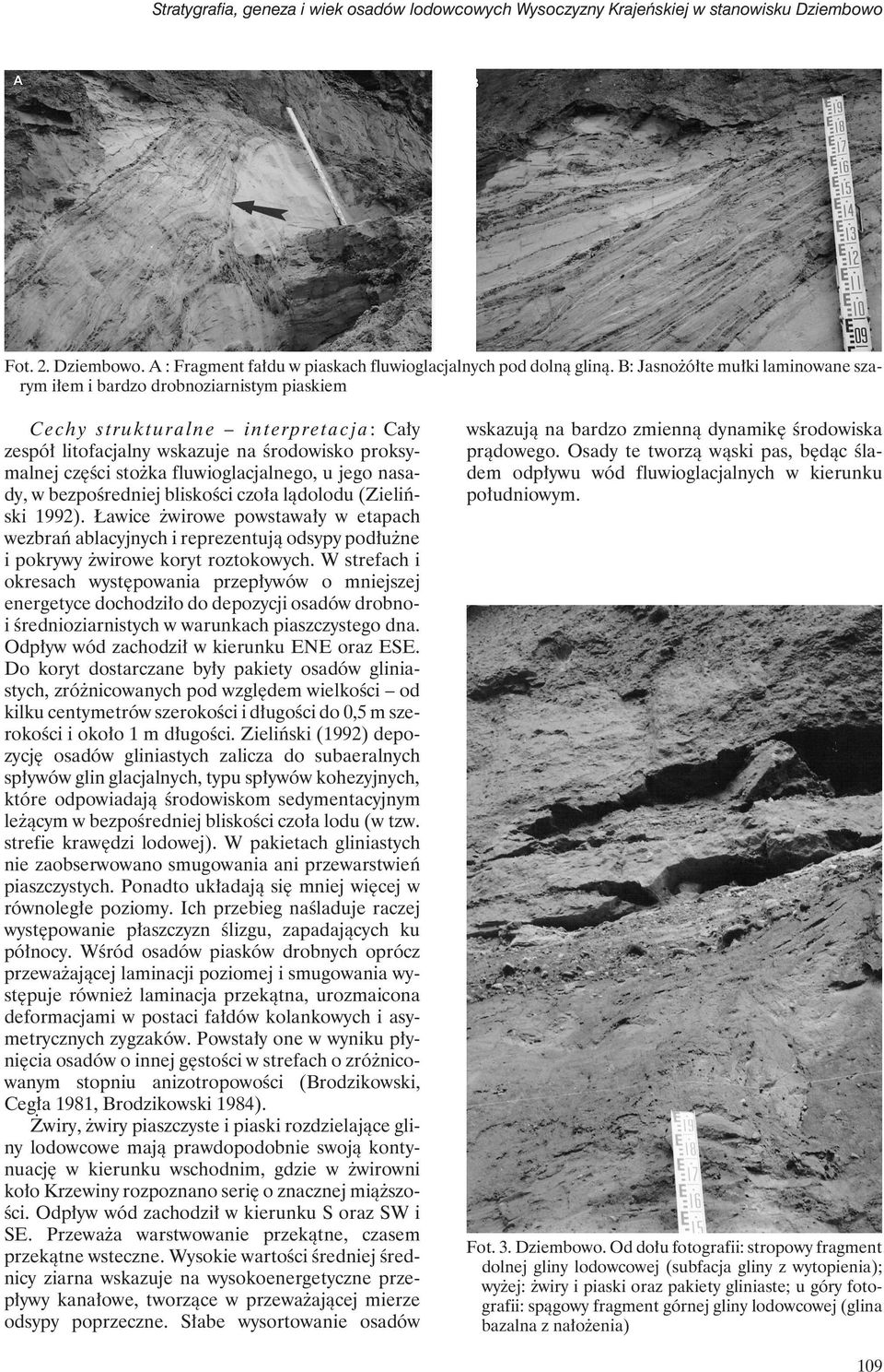 fluwioglacjalnego, u jego nasady, w bezpośredniej bliskości czoła lądolodu (Zieliński 1992).