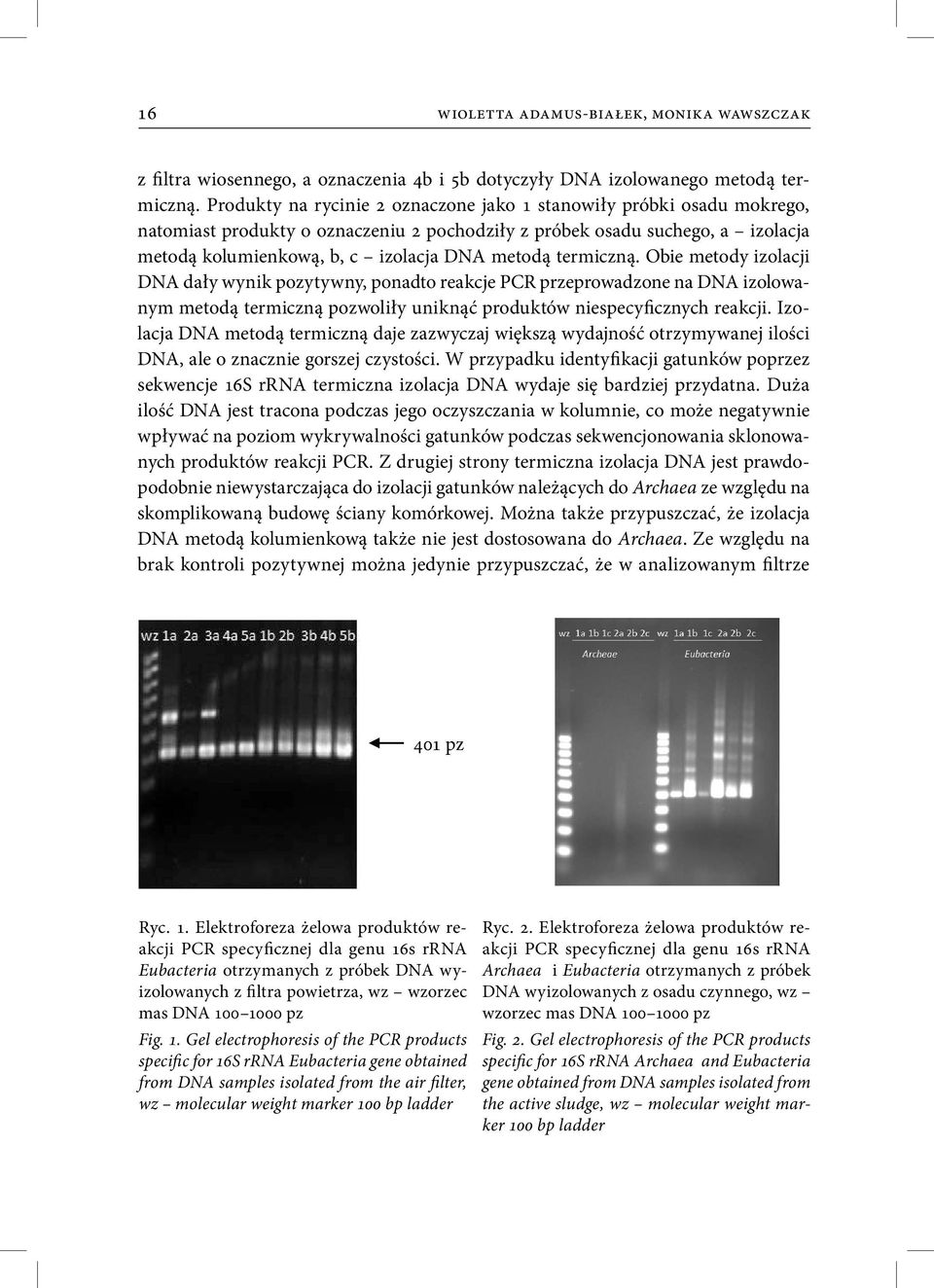 termiczną. Obie metody izolacji DNA dały wynik pozytywny, ponadto reakcje PCR przeprowadzone na DNA izolowanym metodą termiczną pozwoliły uniknąć produktów niespecyficznych reakcji.