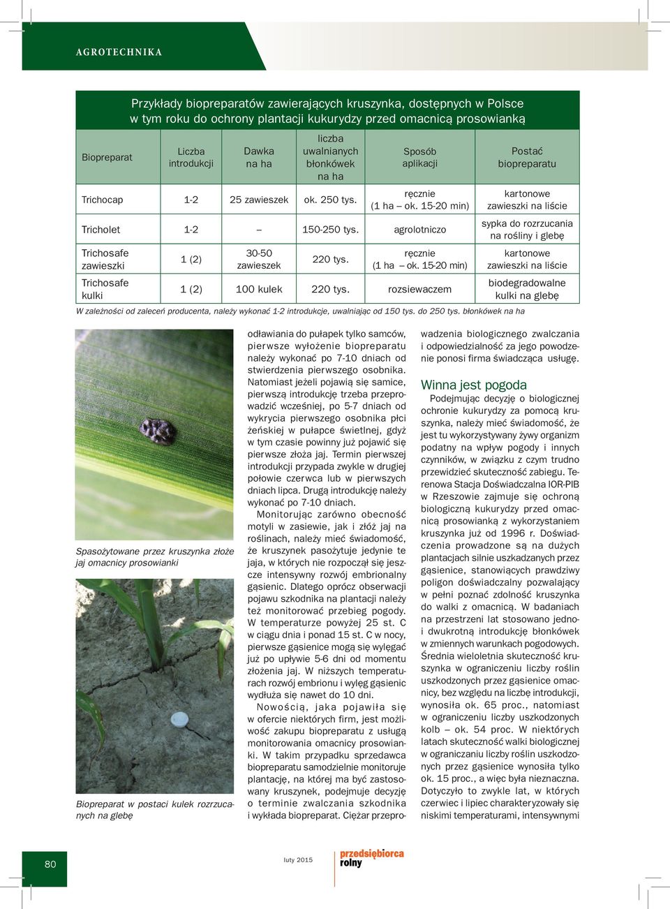 agrolotniczo Trichosafe zawieszki Trichosafe kulki 1 (2) 30-50 zawieszek 220 tys. ręcznie (1 ha ok. 15-20 min) 1 (2) 100 kulek 220 tys.