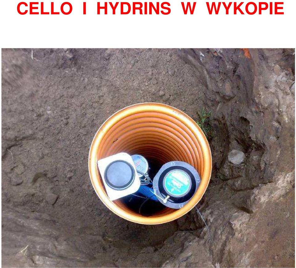 WYKOPIE