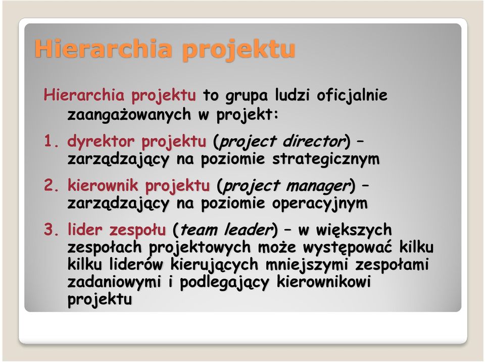 kierownik projektu (project manager) zarządzający na poziomie operacyjnym 3.