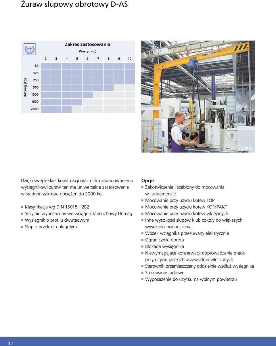 n Klasyfikacja wg DIN 15018 H2B2 n Seryjnie wyposażony we wciągnik łańcuchowy Demag n Wysięgnik o profilu dwuteowym n Słup o przekroju okrągłym Opcje n Zakotwiczenie i szablony do mocowania w
