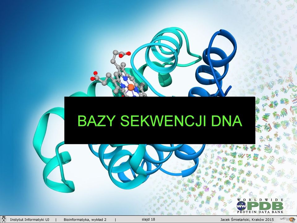 DNA slajd