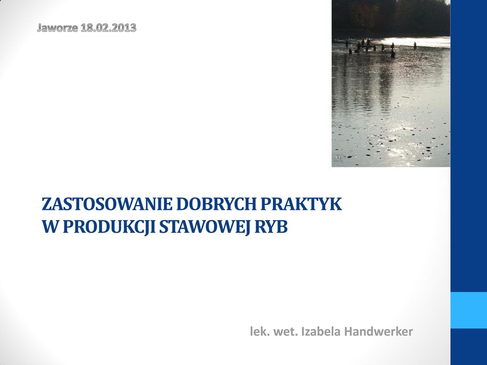 STAWOWEJ RYB lek.