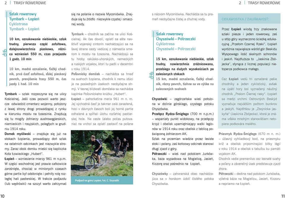 Jeśli czas pozwoli warto jeszcze odwiedzić cmentarz wojenny, położony z lewej strony drogi prowadzącej z rynku w kierunku mostu na Łososinie.