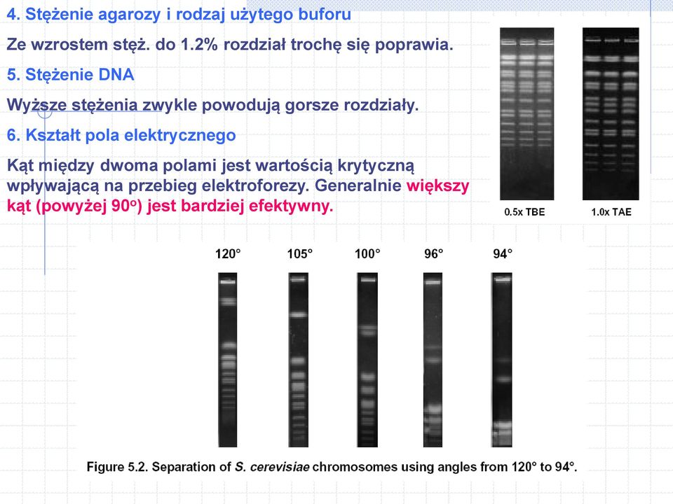 Stężenie DNA Wyższe stężenia zwykle powodują gorsze rozdziały. 6.