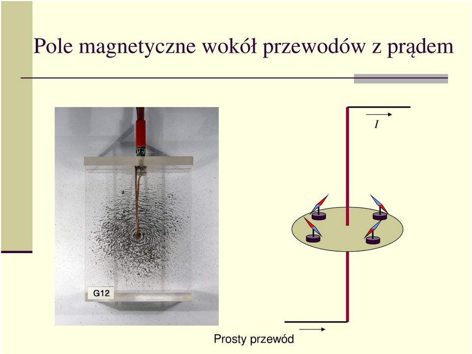 wokół